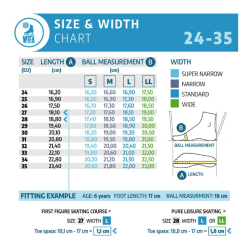 WIFA CHAMPION LIGHT CUSTOM COLORS